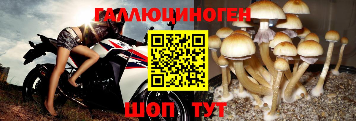 Реутов  Галлюциногенные грибы GOLDEN TEACHER  Вход с VPN 